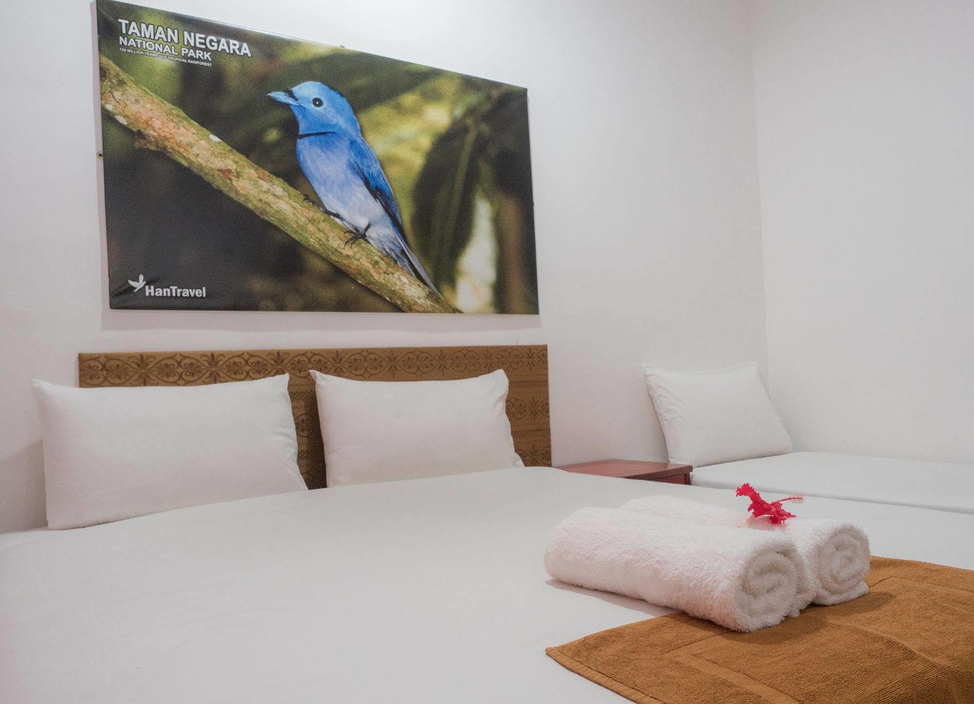 كُوالا تاهان Han Rainforest Resort المظهر الخارجي الصورة
